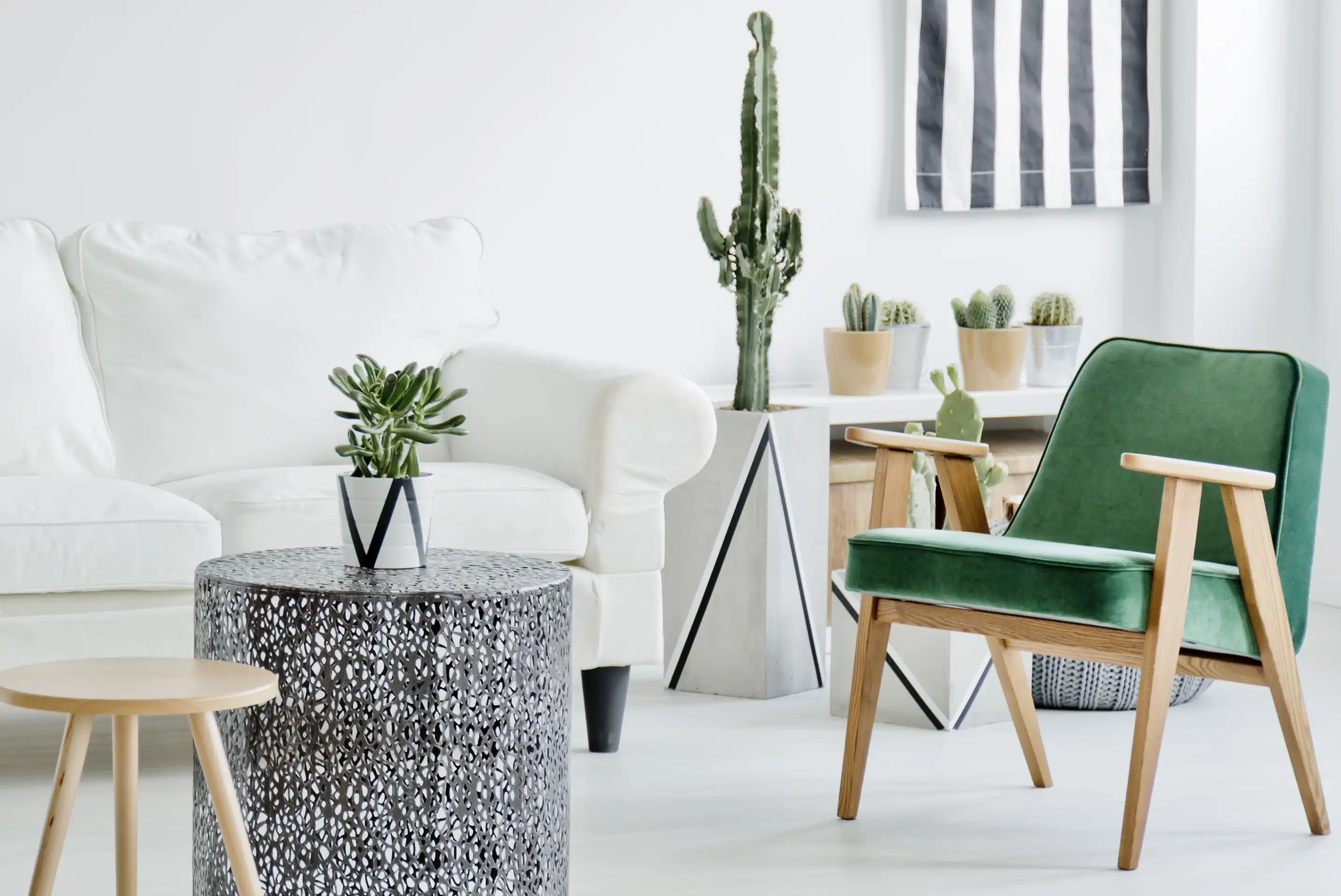 salon minimaliste avec canapé blanc et plantes